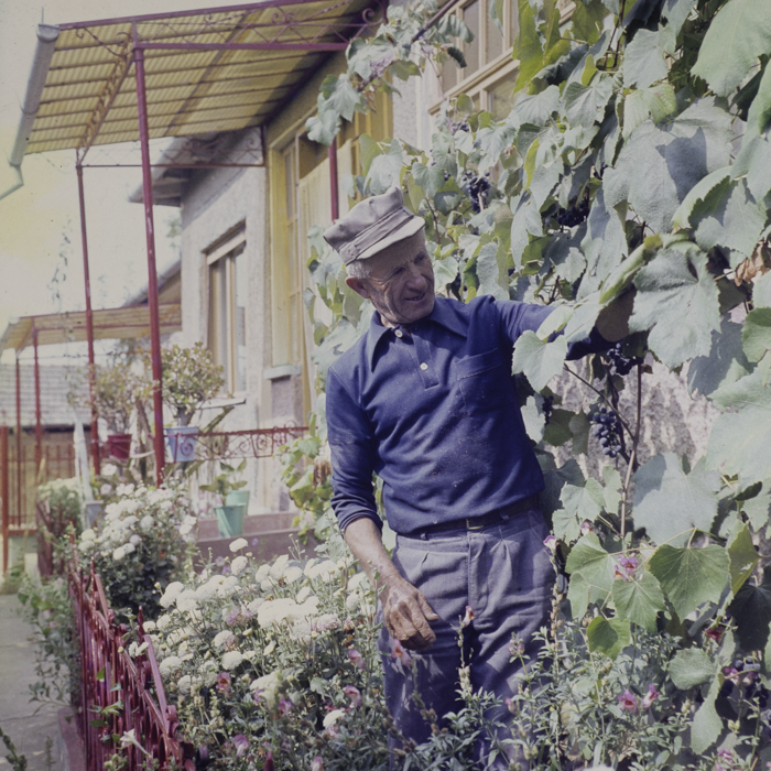 minerva_dn_1984_2742_comuna_sanislau_juedtul_satul_mare_002