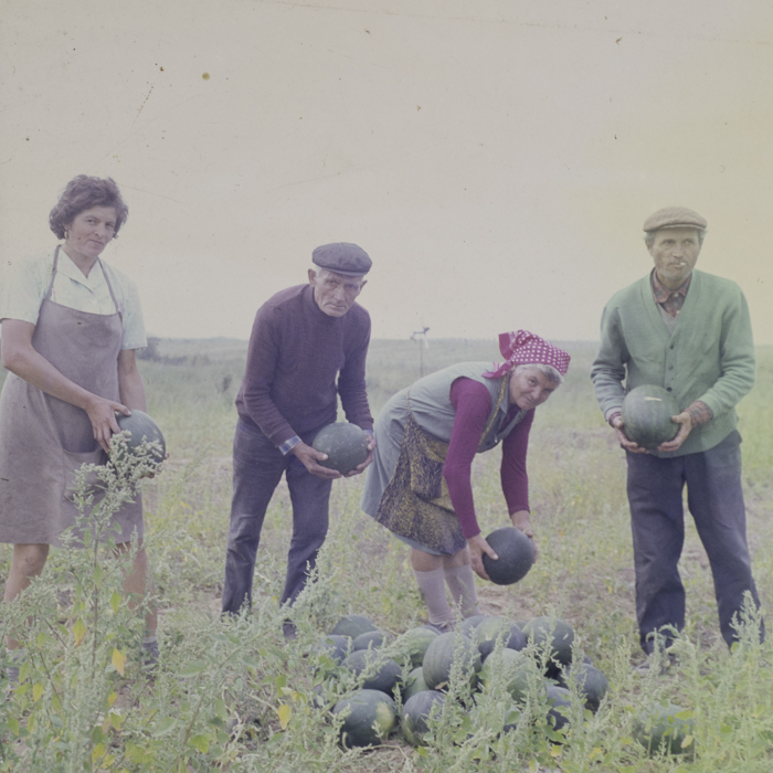 minerva_dn_1984_2742_comuna_sanislau_juedtul_satul_mare_004