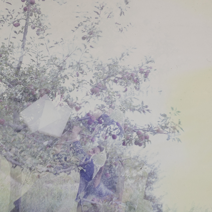 minerva_dn_1984_2742_comuna_sanislau_juedtul_satul_mare_006