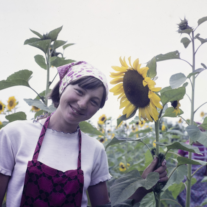 minerva_dn_1984_2746_c.a.p_sancrai_harghita_002