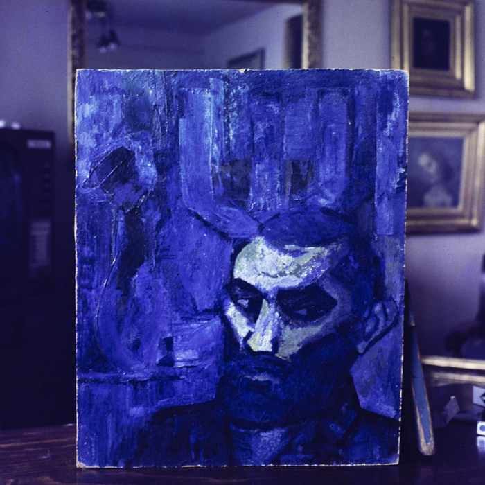 minerva_dn_1984_2749_reproduceri_001