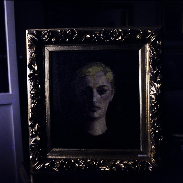 minerva_dn_1984_2749_reproduceri_002