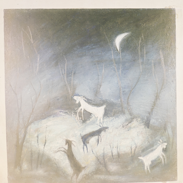 minerva_dn_1984_2749_reproduceri_004