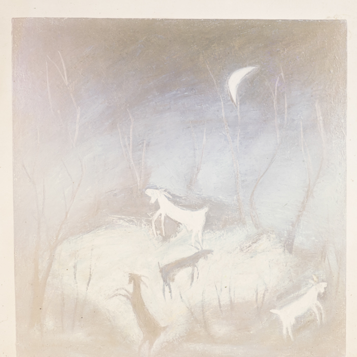 minerva_dn_1984_2749_reproduceri_005