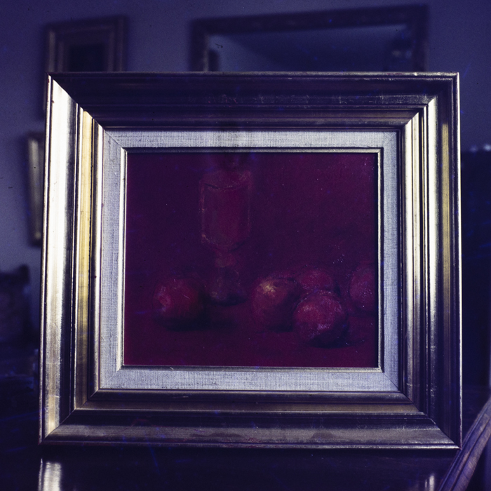 minerva_dn_1984_2749_reproduceri_008