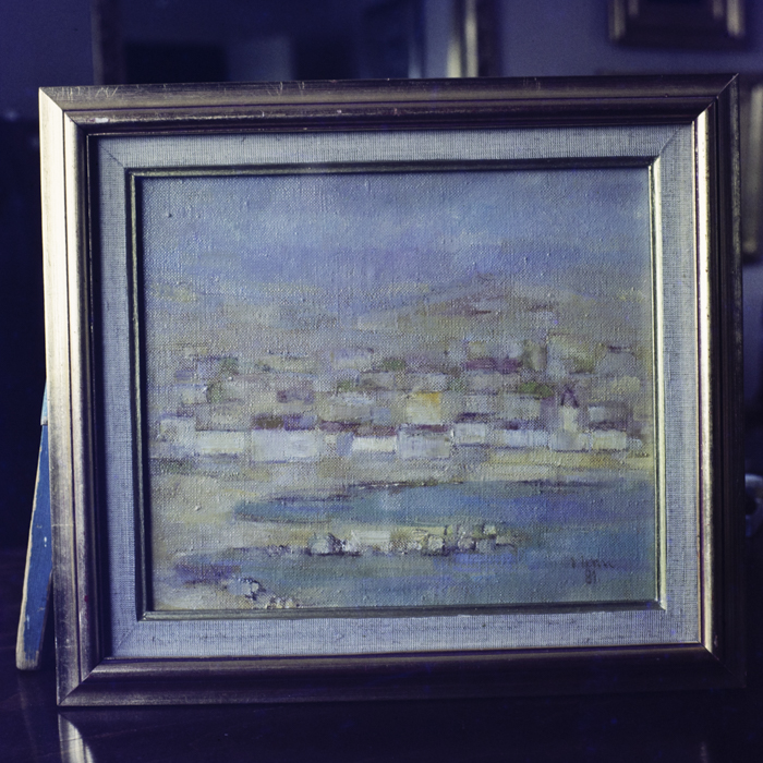 minerva_dn_1984_2749_reproduceri_010