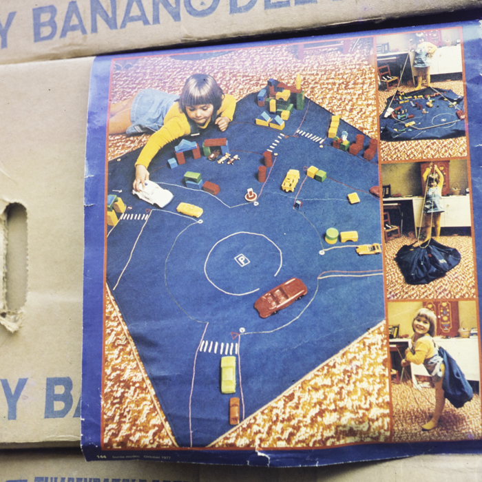 minerva_dn_1984_2749_reproduceri_019