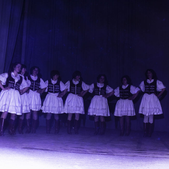 minerva_dn_1984_x_casa_de_cultura_bistrita_008