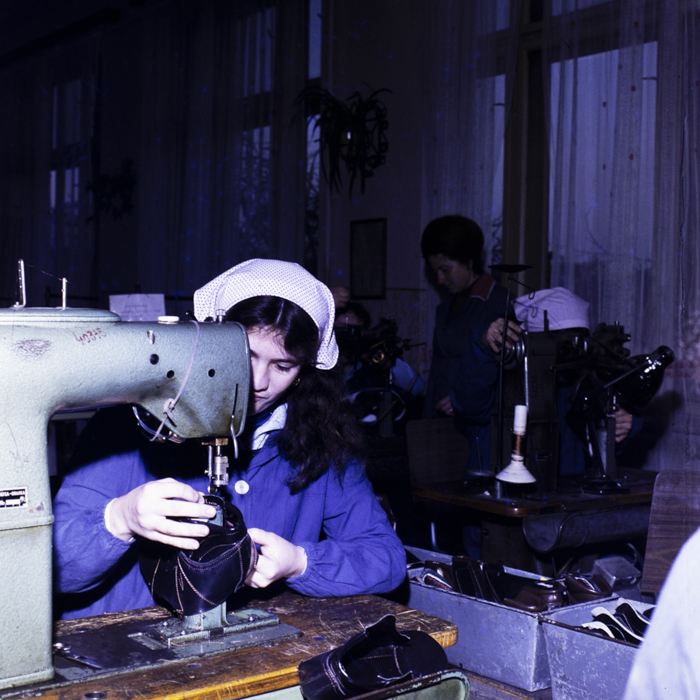 minerva_dn_1985_2672_scoala_profesionala_oradea_001