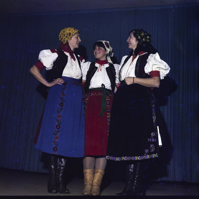 minerva_dn_1985_2761_camin_cultural_luna_jud_cluj_001