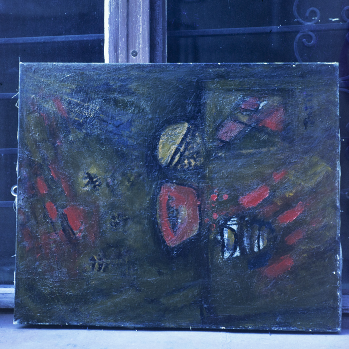 minerva_dn_1985_2764_reproduceri_001