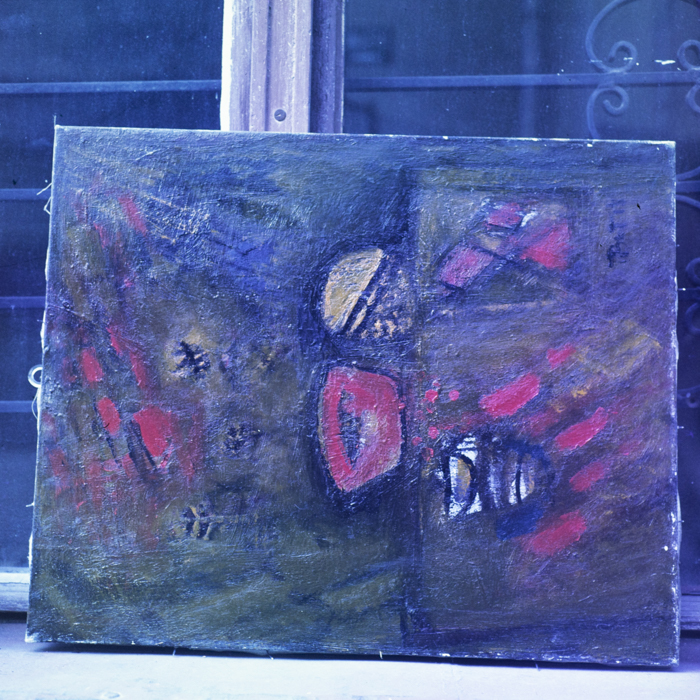 minerva_dn_1985_2764_reproduceri_002