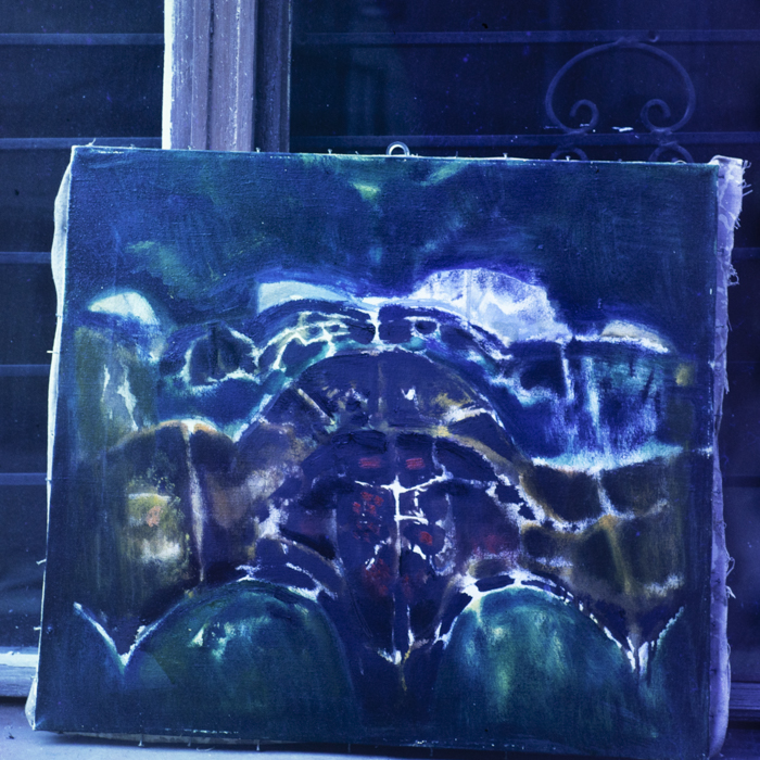 minerva_dn_1985_2764_reproduceri_003