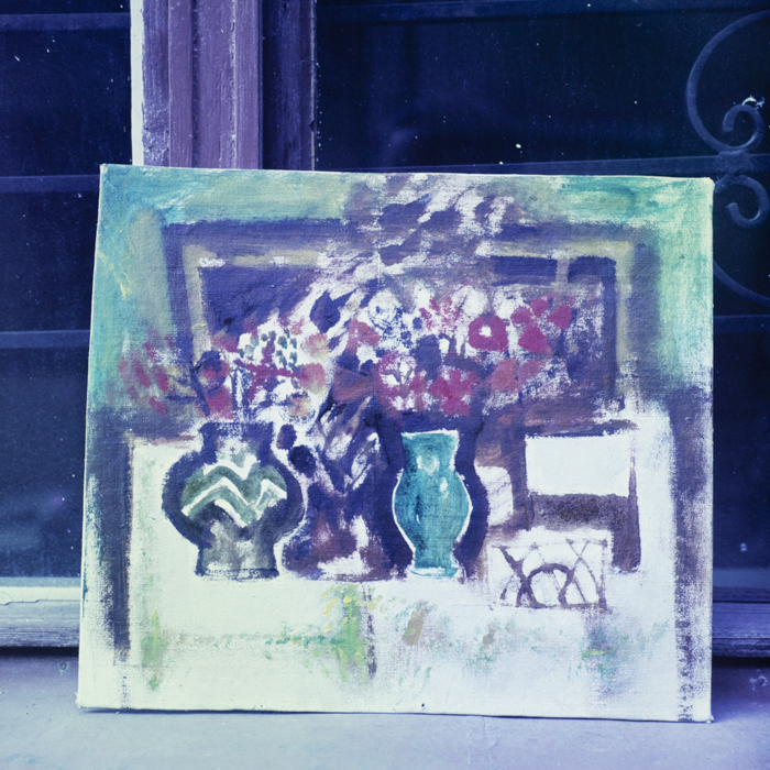 minerva_dn_1985_2764_reproduceri_005