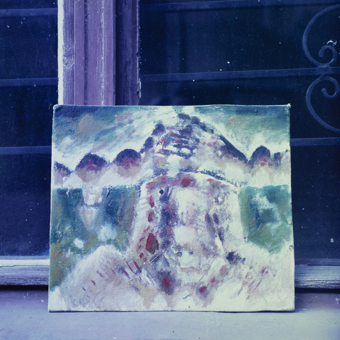 minerva_dn_1985_2764_reproduceri_006