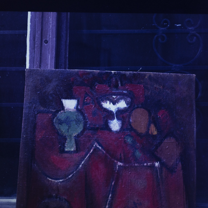 minerva_dn_1985_2764_reproduceri_008