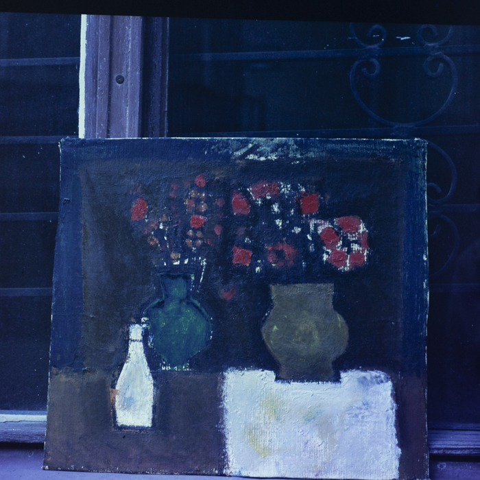 minerva_dn_1985_2764_reproduceri_009