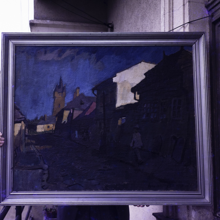 minerva_dn_1985_2764_reproduceri_012