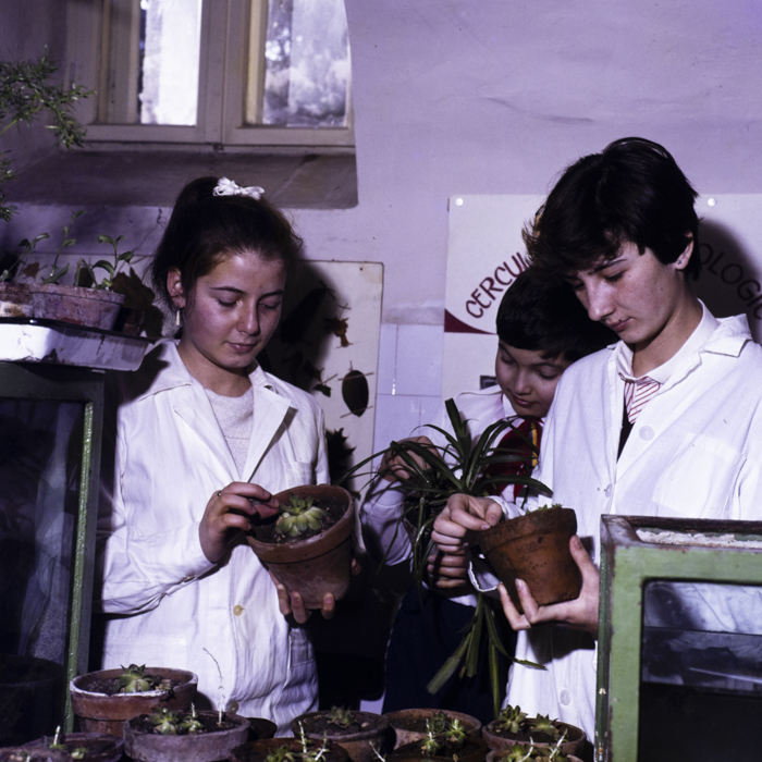 minerva_dn_1985_2766_casa_pionerilor_001