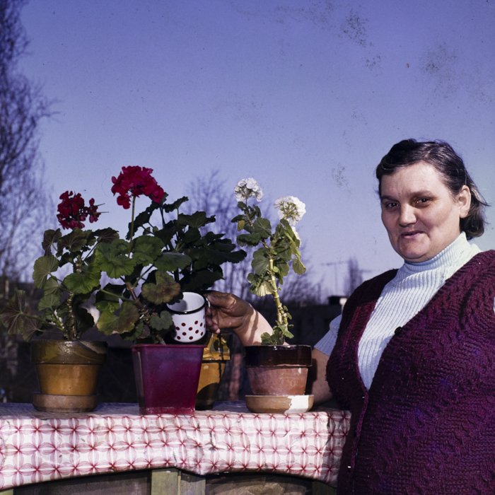 minerva_dn_1985_2768_medias_001