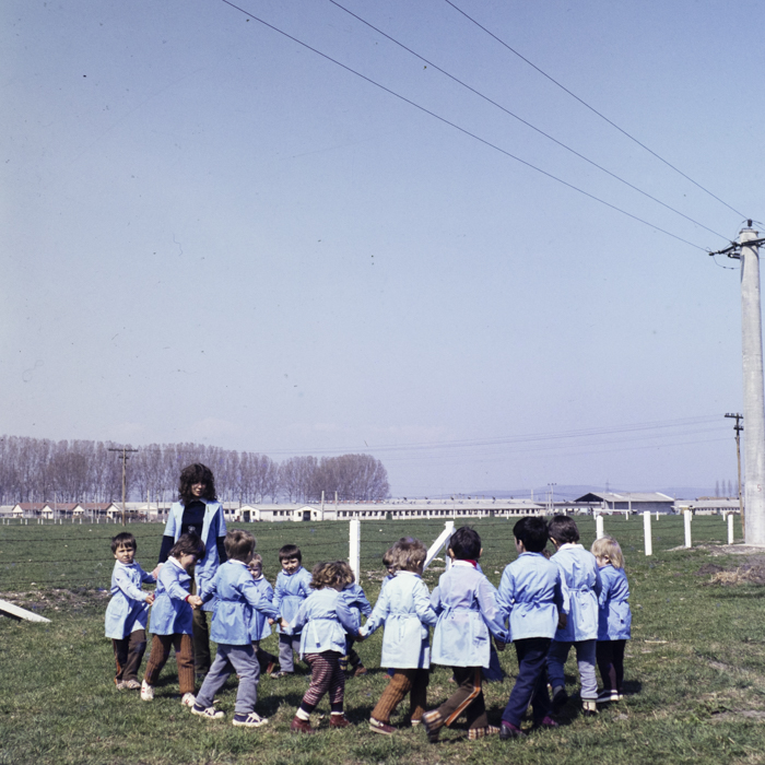 minerva_dn_1985_2771_i.a.s_prejmer_004