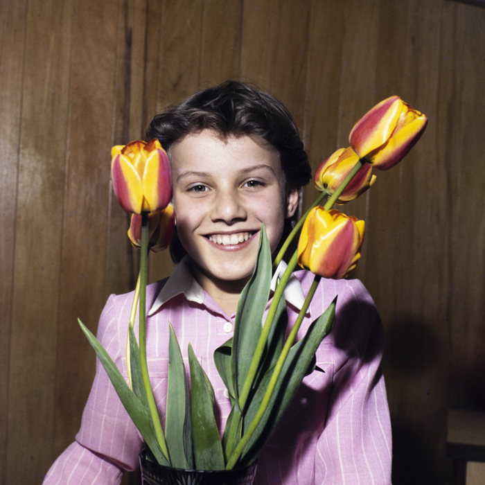 minerva_dn_1985_2772_valea_lui_mihai_003