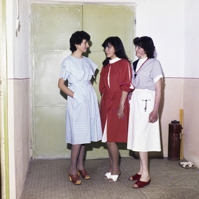 minerva_dn_1985_2772_valea_lui_mihai_005