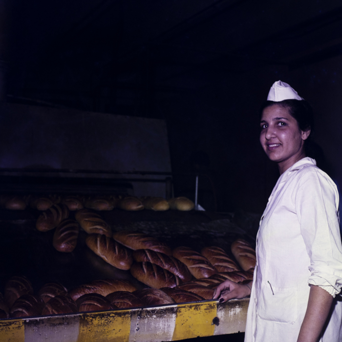 minerva_dn_1985_2776_arad_001