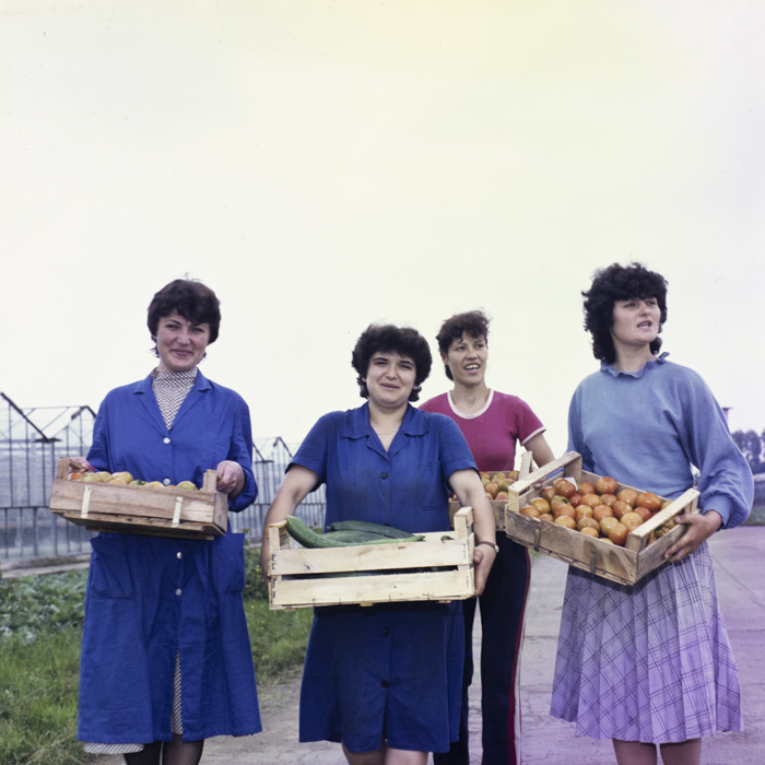 minerva_dn_1985_2777_serele_din_arad_001