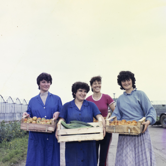 minerva_dn_1985_2777_serele_din_arad_002