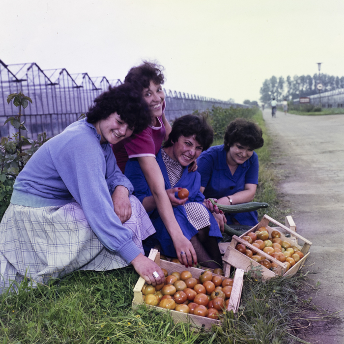 minerva_dn_1985_2777_serele_din_arad_003