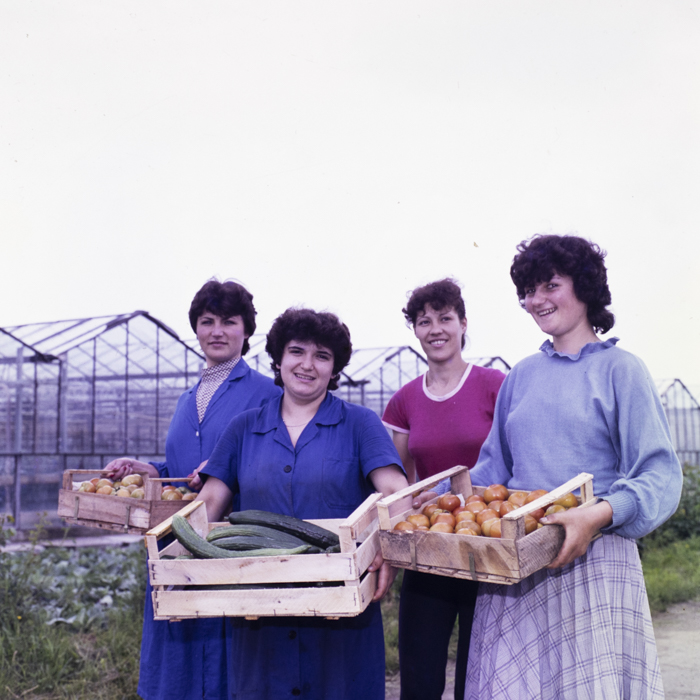 minerva_dn_1985_2777_serele_din_arad_004