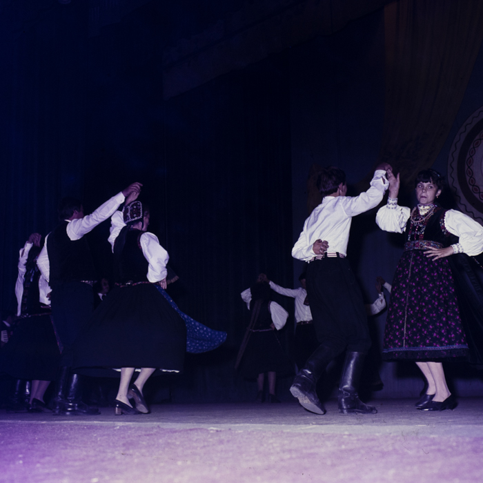 minerva_dn_1985_2784_cantarea_romaniei_alba_0001