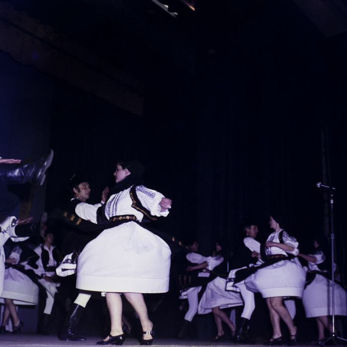 minerva_dn_1985_2784_cantarea_romaniei_alba_0002