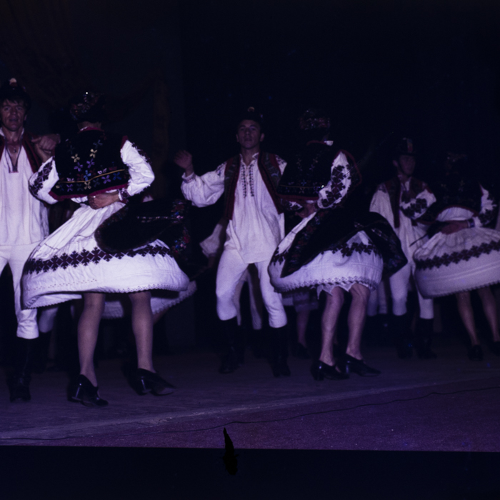 minerva_dn_1985_2784_cantarea_romaniei_alba_0004