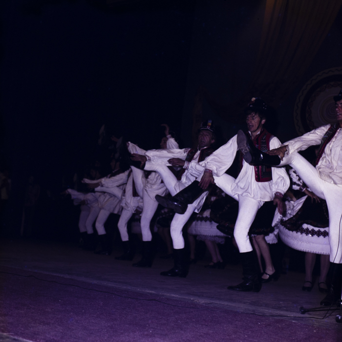 minerva_dn_1985_2784_cantarea_romaniei_alba_0005