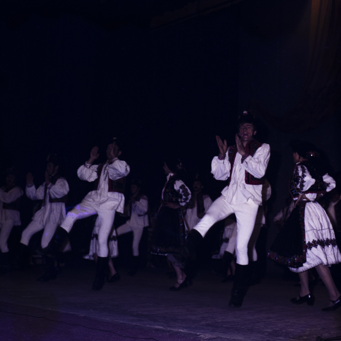 minerva_dn_1985_2784_cantarea_romaniei_alba_0006