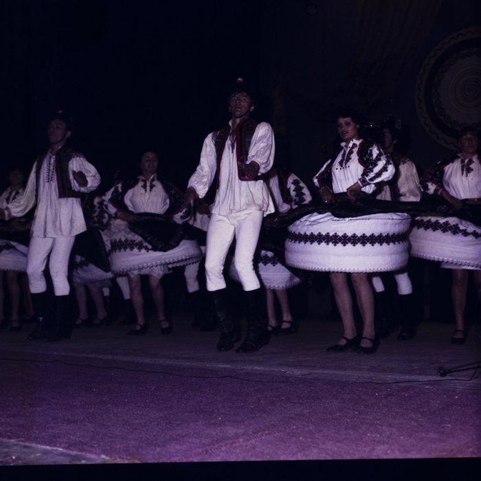 minerva_dn_1985_2784_cantarea_romaniei_alba_0007