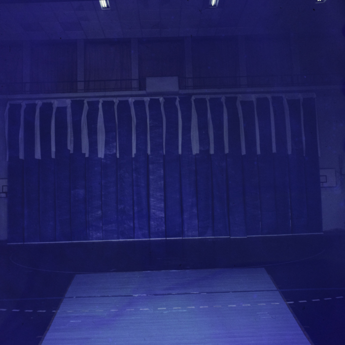 minerva_dn_1985_2789_reproduceri_002