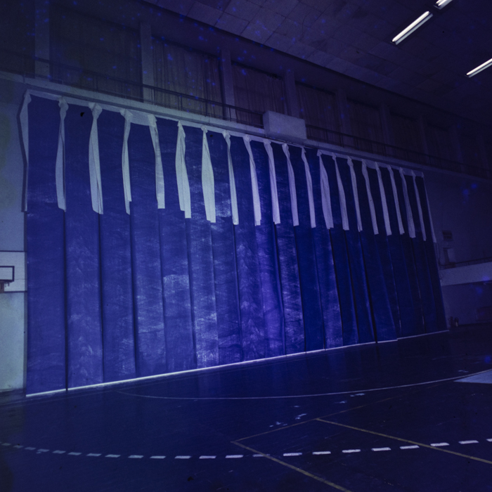 minerva_dn_1985_2789_reproduceri_007