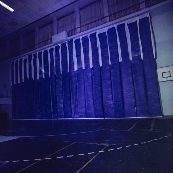 minerva_dn_1985_2789_reproduceri_009