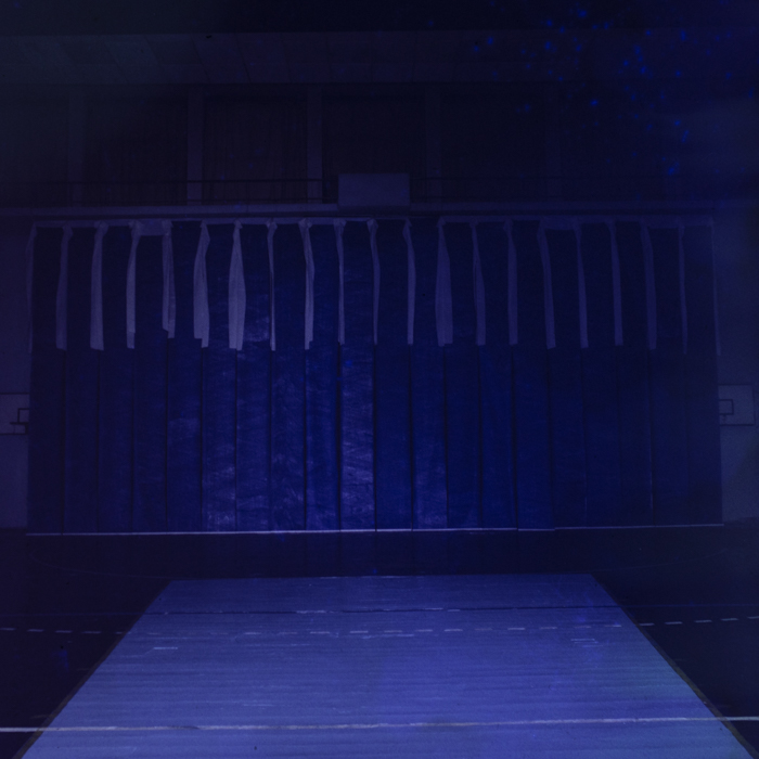 minerva_dn_1985_2789_reproduceri_012