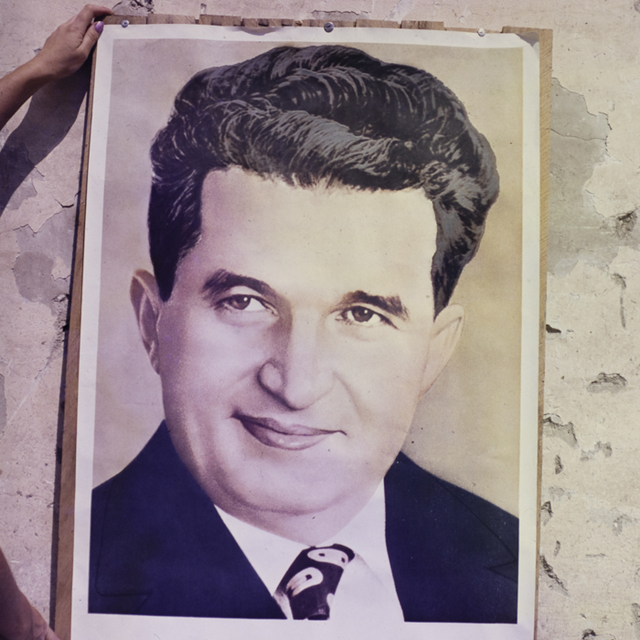 minerva_dn_1985_2789_reproduceri_015