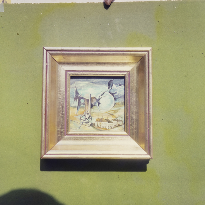 minerva_dn_1985_2789_reproduceri_016