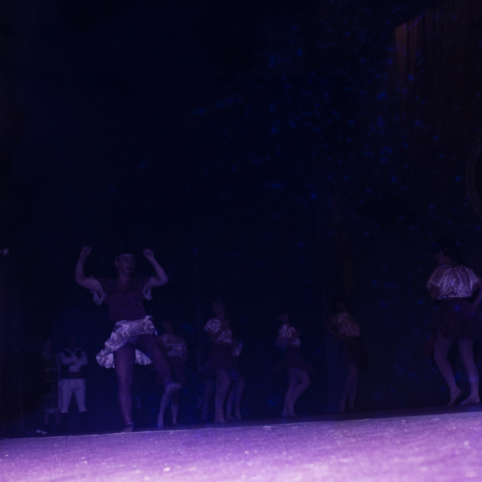 minerva_dn_1985_2794_cantarea_romaniei_alba_001