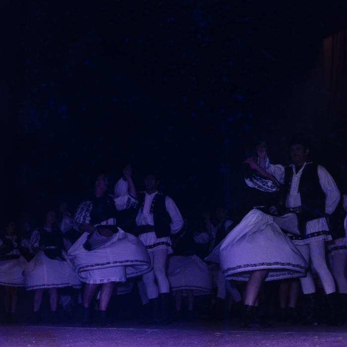 minerva_dn_1985_2794_cantarea_romaniei_alba_003