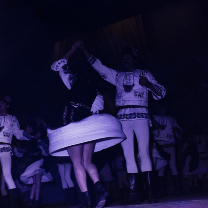 minerva_dn_1985_2794_cantarea_romaniei_alba_004