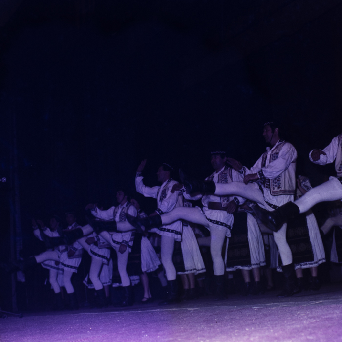 minerva_dn_1985_2794_cantarea_romaniei_alba_007