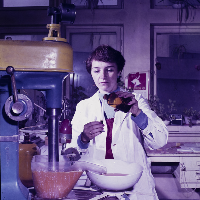 minerva_dn_1985_korpos_ildiko_001