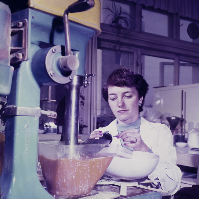 minerva_dn_1985_korpos_ildiko_003